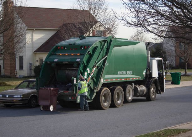 Reliable Ponderosa Pine, NM Junk Removal Solutions